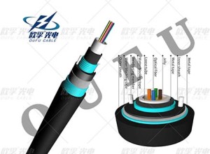 Cixtw53 2-24 core de cinta de aceiro DJDA armada o cable de fibra de fóra.